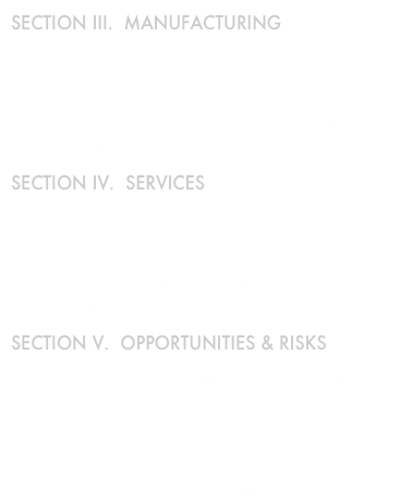 SECTION III.  MANUFACTURING 
9.    Textiles & Garments
10.  Electronics
11.  Auto Industry 
12.  Crises: Manufacturers’ Access to Capital 
13.  Aerospace 

SECTION IV.  SERVICES 
14.  Manufacturing-Related Services
 Financial Services I: Capital Markets 
 Financial Services II: Financial Institutions 
17.  The ‘Knowledge Economy’: IT, Back-Office  
       & Beyond 

SECTION V.  OPPORTUNITIES & RISKS
18.  Cities: Where Energy, Manufacturing & 
       Services Converge 
19.  Nations: Economic ‘Miracles’, ‘Crises’ &
       Beyond 
20.  The Future of the Asia-Pacific Region: 
       Current Crises, Future Opportunities